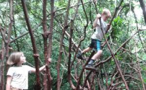 Child navigating an aerial obstacle course during nature camp exercise class