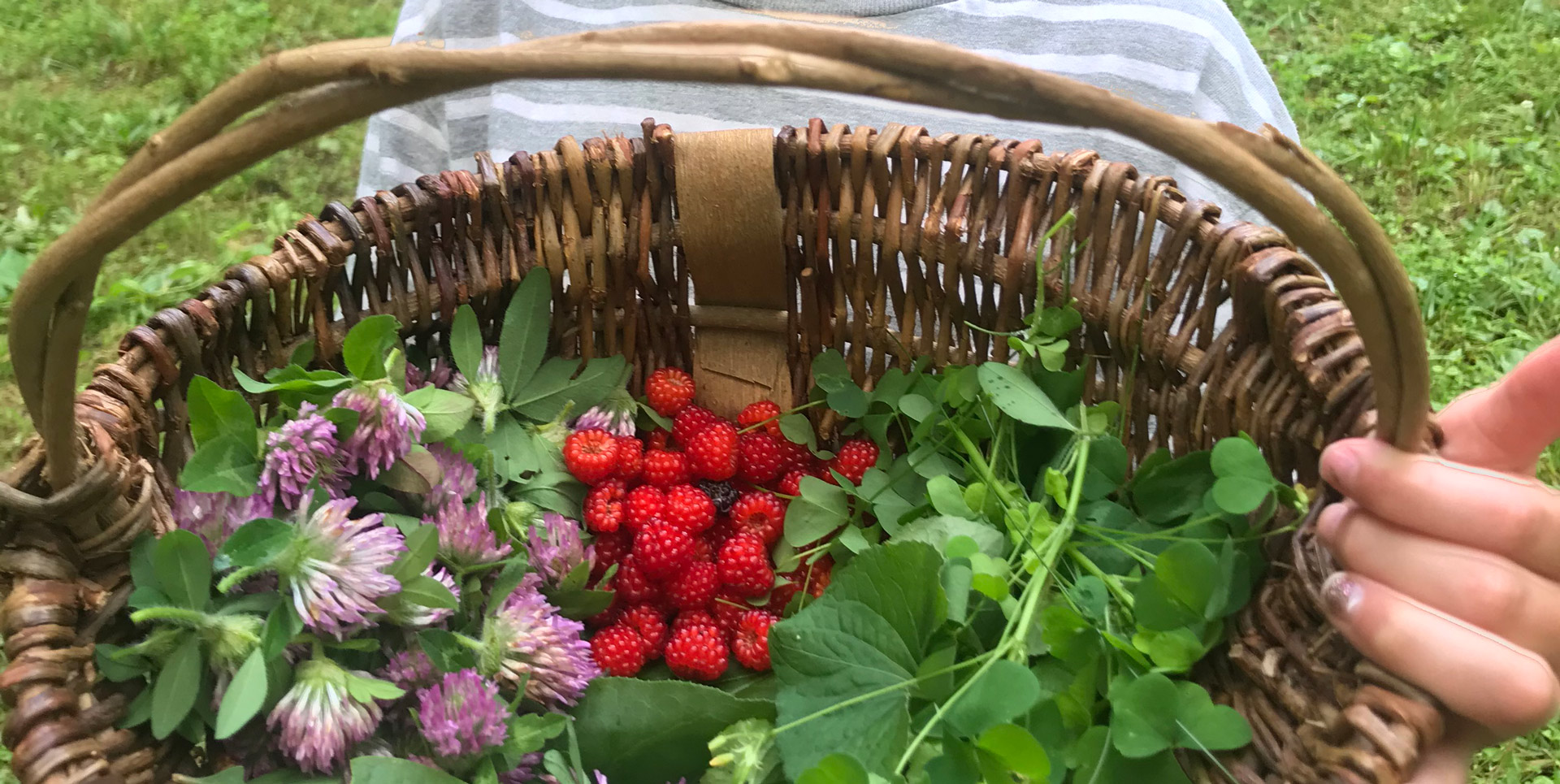 Closeup of handmade basket from natural materials full of wild edibles gathered at nature camp