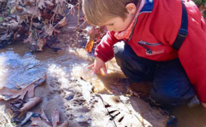 Child at winter forest camp looking at animal tracks alongside the creek