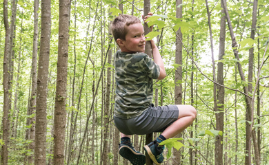 Child climbing a tree at Asheville day camp in the forest