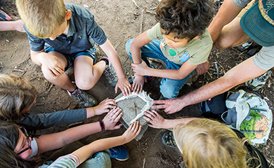 Young children examining bones found during an outdoor nature connection program in Asheville, NC