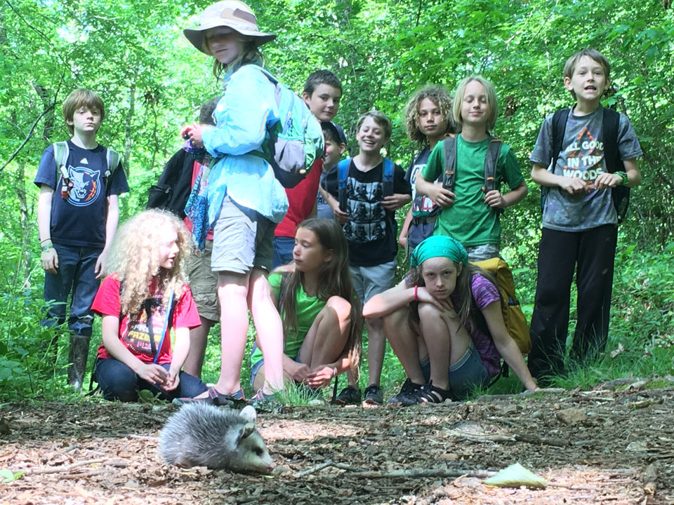 Kids in the forest looking at a baby possum at nature school summer camp