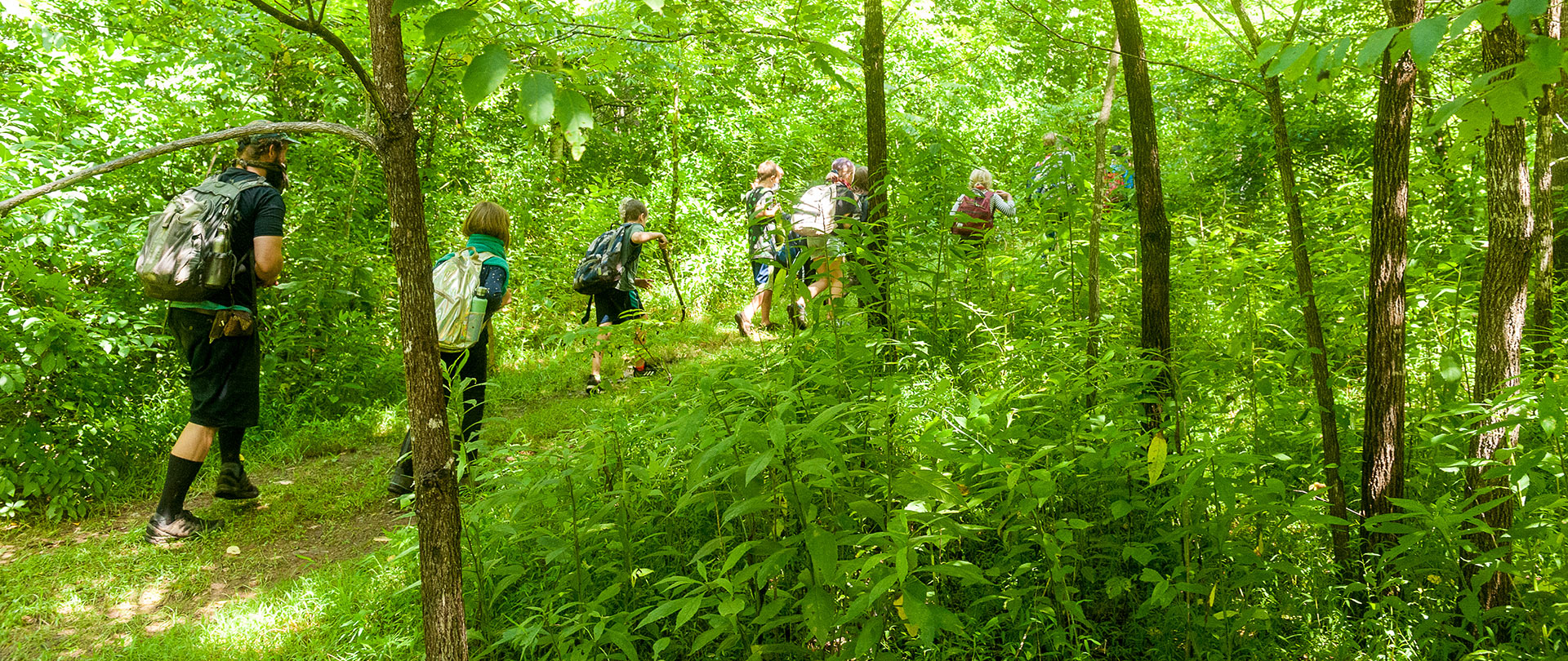Group of nature camp kids setting off on a foraging expedition near Asheville