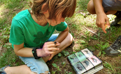 Junior naturalist homeschool student at ecology program learning outdoors in forest