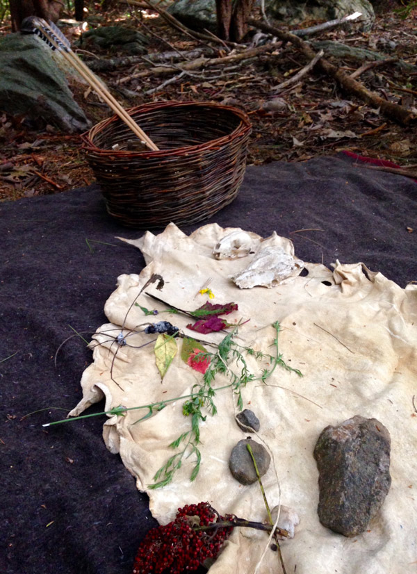 Natural materials gathered by forest school student for doing some crafting with