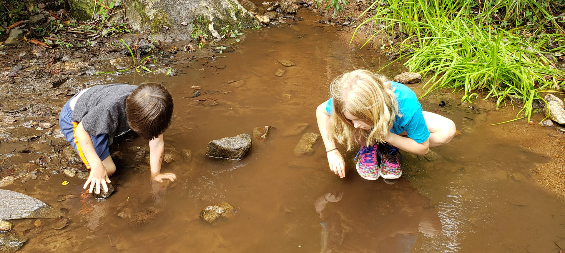 Children playing at the side of the creek looking for animals and acting like frogs